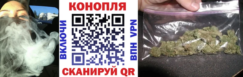 Где можно купить наркотики Приморско-Ахтарск Псилоцибиновые грибы  Мефедрон  Вейп ТГК  Бошки Шишки 